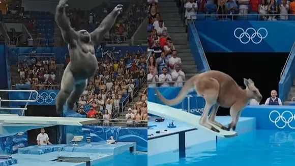 Animal Olympics