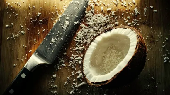 Grate Coconut Easily FI