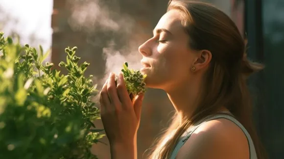Bad Breath Remedy