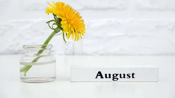 August punartham Ga FI