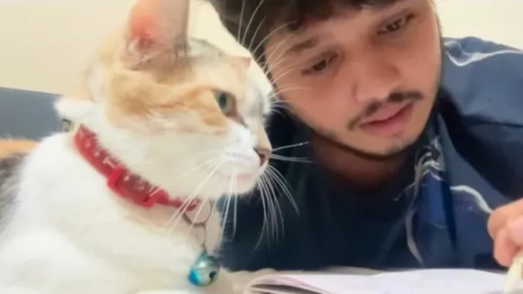 Talking Cat Viral Video