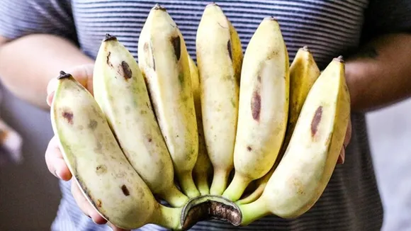 Keep Banana Fresh For Long FI