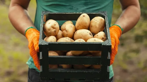 Store Potato FI