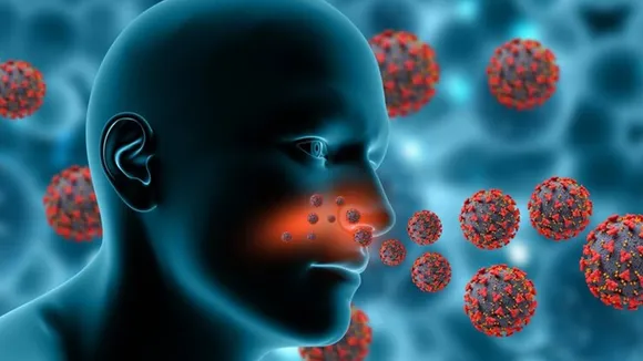 amoebic meningoencephalitis1