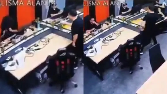 CEO throws flower pot at employee