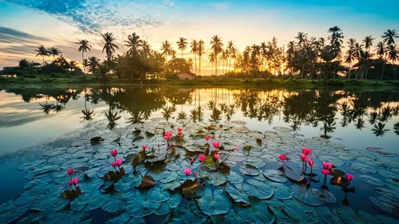 Kerala Nature
