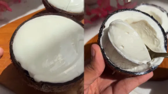 Coconut Ice Cream Recipe  FI