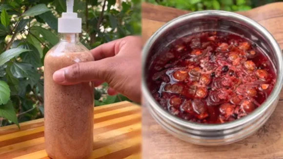 Homemade Herbal Shampoo FI