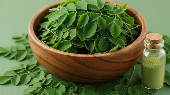 Hair Care Using Moringa Leaves FI