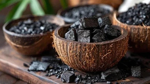 Herbal Natural Black Hair Dye For Coconut FI