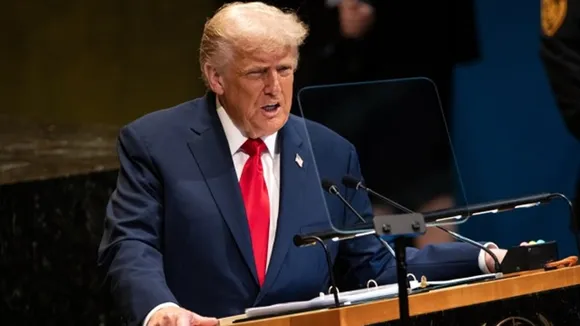 trump3352