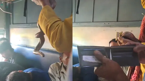 Snake Train viral Video