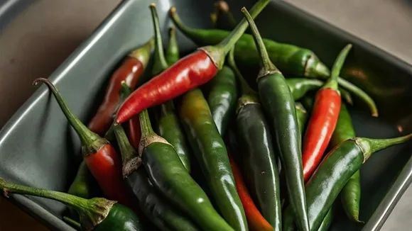 Tips To Store Green Chilli  FI