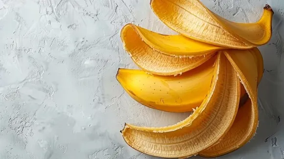 BananaPeel For Gardening At Home FI