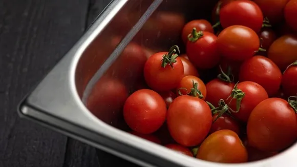 Tomatoes Fresh For Long FI