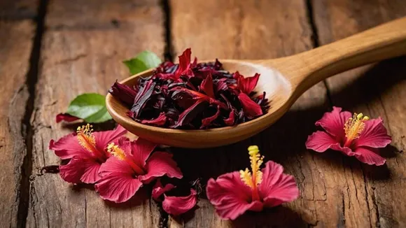 hibiscus har pack ws FI