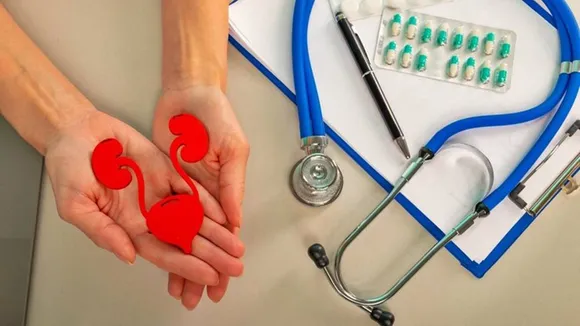 kidney health