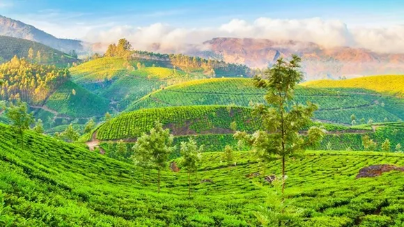 Munnar