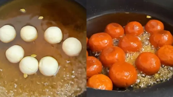 Snack With Paneer FI