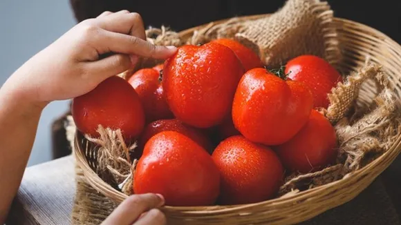 Store Tomatoes Fresh FI