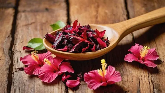 hibiscus, hair fall