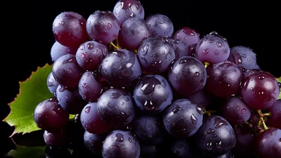 Black Grapes Benefits FI