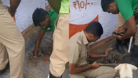 Puppy rescuing viral video