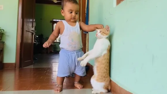 Cat Child Viral Video