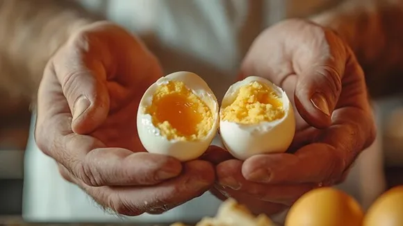 Egg freshness test FI