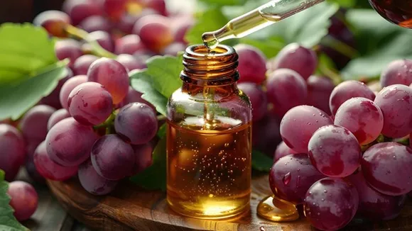 Grape Seed Oil