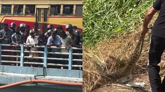 Snake Rescue Alappuzha