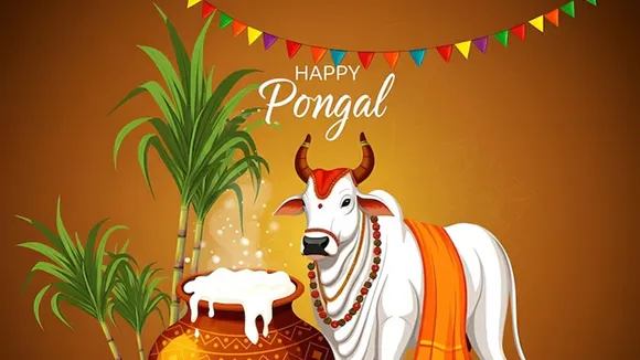 Happy Pongal FI