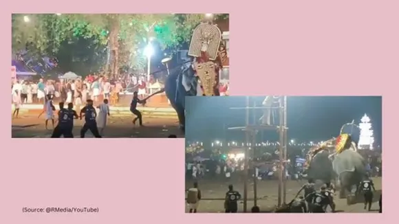 Elephant Attack, Thrissur