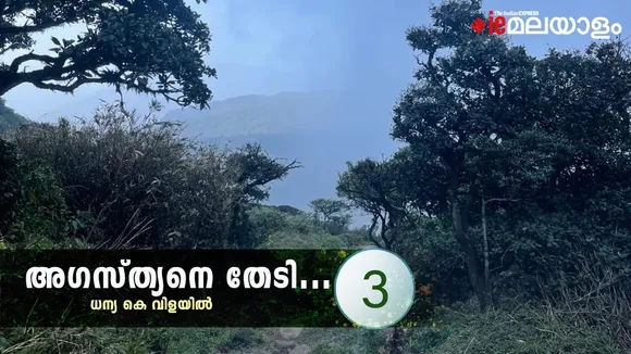 Agasthyakoodam Trekking travelogue