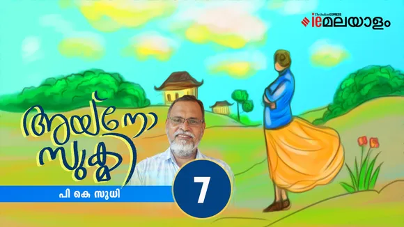P K Sudhi , Novel 