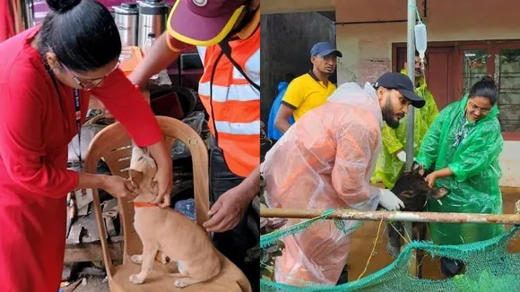 Animal Rescue Wayanad
