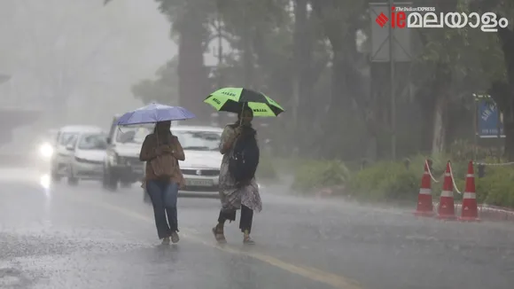 Rain, Rain Alert, Kerala Rain Updates, Weather Today
