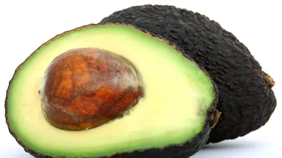 Avocado