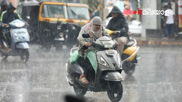 Rain Weather