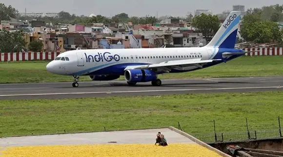 Indigo