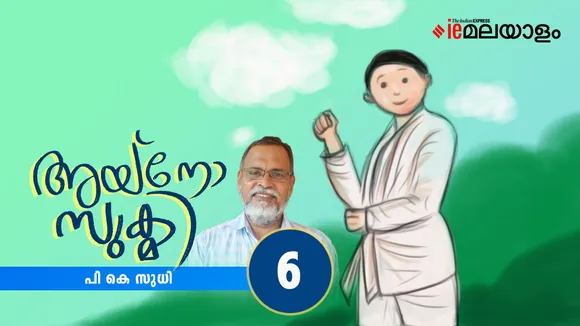 P K Sudhi , Novel 