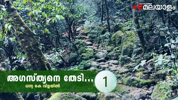 Agasthyakoodam Trekking travelogue