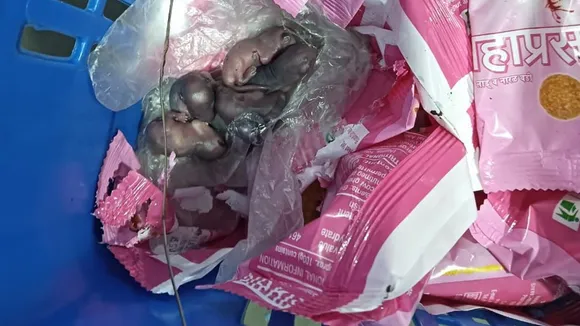 mice on prasad packet, Mumbai Siddhivinayak Temple