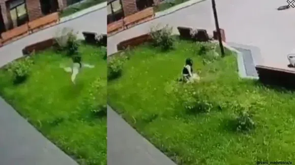 Woman survives fall from building