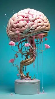 Brain, Memory