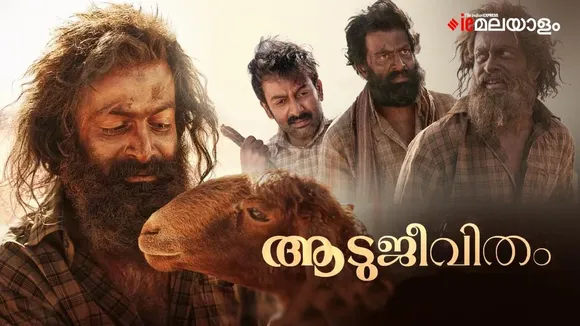 Aadujeevitham The Goat Life box office collection day 2