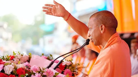 yogi Polls