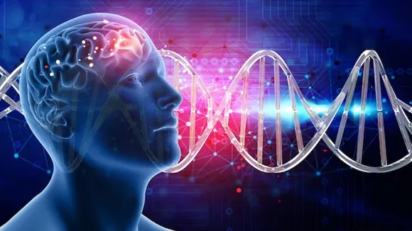 Brain, Memory, FP