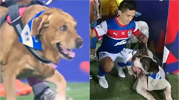 Bengaluru FC | 10 rescue dogs | ISL 2024