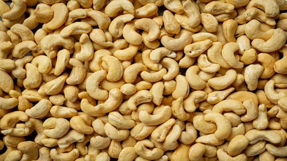 Cashew Nut